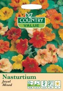 Nasturtium Jewel Mixed