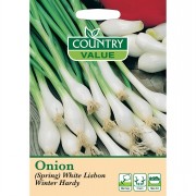 Onion Spring Winter Hardy
