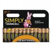 Duracell AA (MN1500  R6) x12