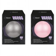 Gym Ball Inflatable