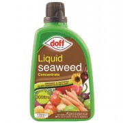 Liquid Seaweed 1L