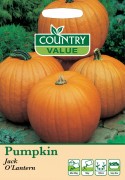 Pumpkin Jack OLantern