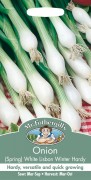 ONION (Spring) Lisbon Winter