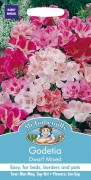 GODETIA Dwarf Mixed