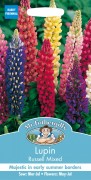 LUPIN Russell Mixed
