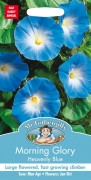 MORNING GLORY Heavenly Blue