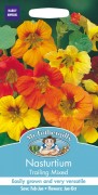 NASTURTIUM Trailing Mixed