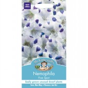 NEMOPHILA maculata Five Spot