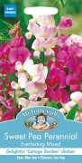 SWEET PEA Everlasting Mixed