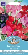 SWEET PEA Tall Mixed