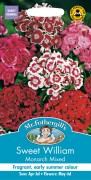 SWEET WILLIAM Monarch Mixed