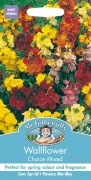 WALLFLOWER Choice Mixed