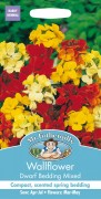 WALLFLOWER Dwarf Bedding Mix