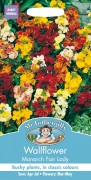 WALLFLOWER Monarch Fair Lady