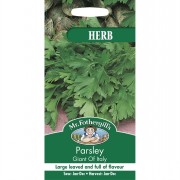 PARSLEY Giant of Italy