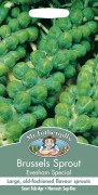 BRUSSELS SPROUT Evesham Sp