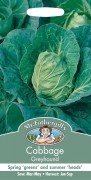 CABBAGE Greyhound.