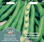 BROAD BEAN Bunyards Exhbtion