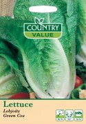 Lettuce Lobjoits Green Cos