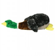 Mallard Pet Toy