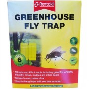 Rentokil Fly Trap Yellow 6s