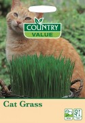 Cat Grass CV