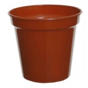 Growing Pots  7in Single