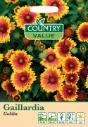 Gaillardia Goblin