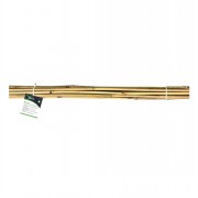 Bamboo Canes 3