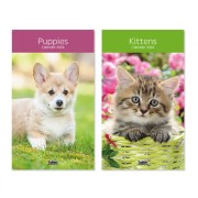 Calendar Midi Cats & Dogs