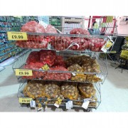 Daffodil Bulbs 5kg