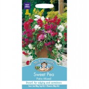 SWEET PEA Patio Mixed