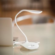 Desk & Night Lamp USB White