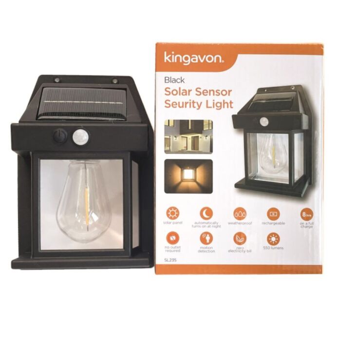 Solar Security Light